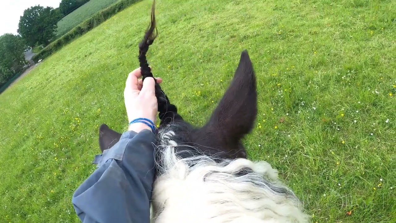 Removing Total Contact Saddle On Horseback!  