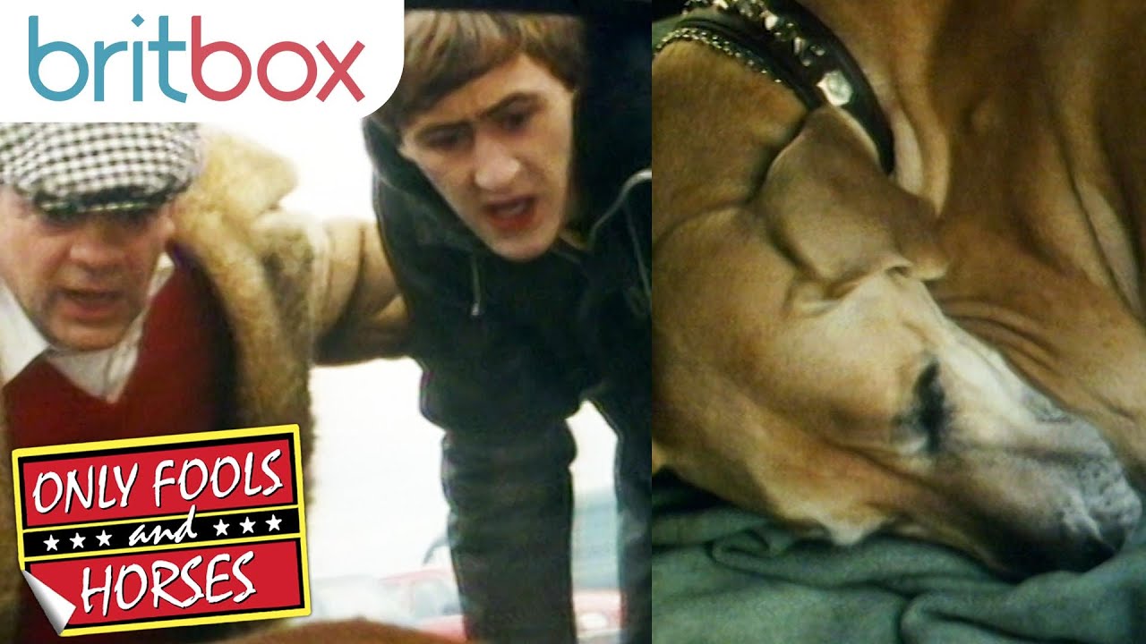 Del Boy, Rodney and Duke the Great Dane | Only Fools and Horses