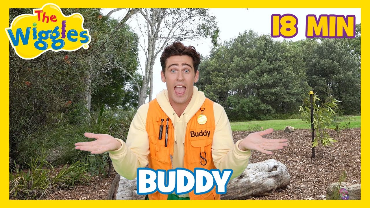 Exciting and Fun Adventures for Kids with Buddy! 🐶🎶 The Wiggles