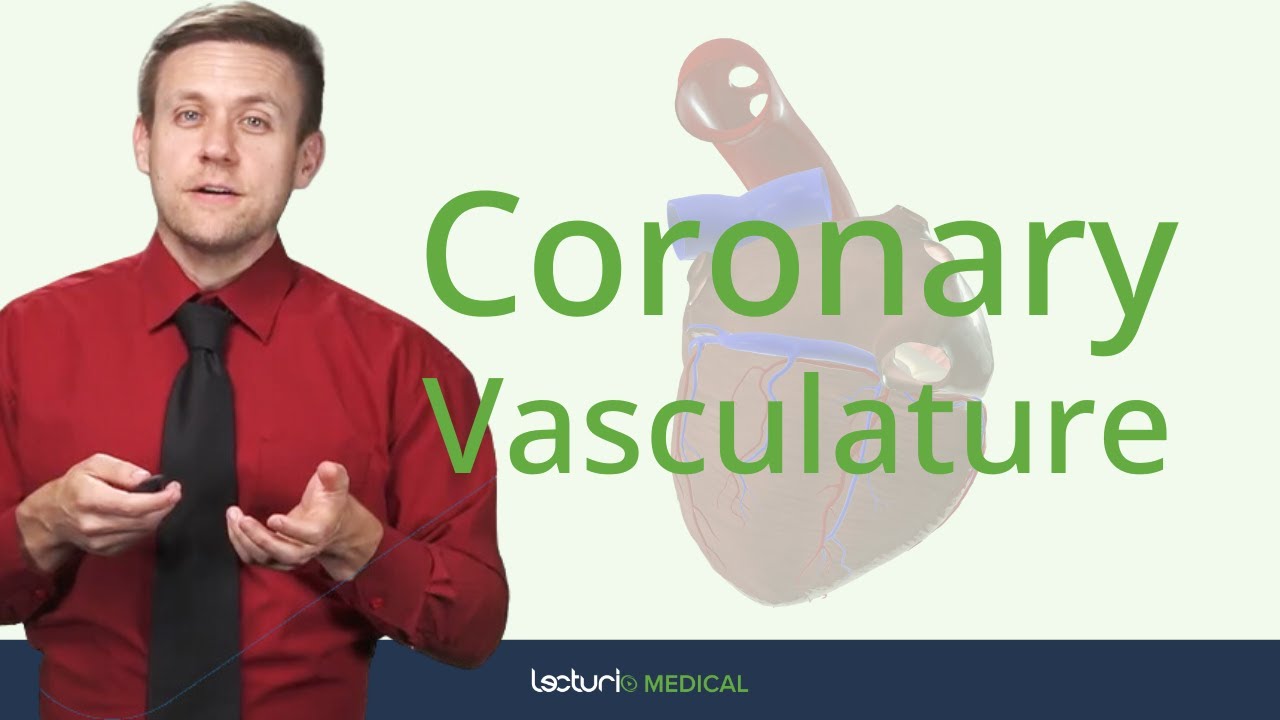 Why Your Heart Needs Its Own Blood Supply 💡