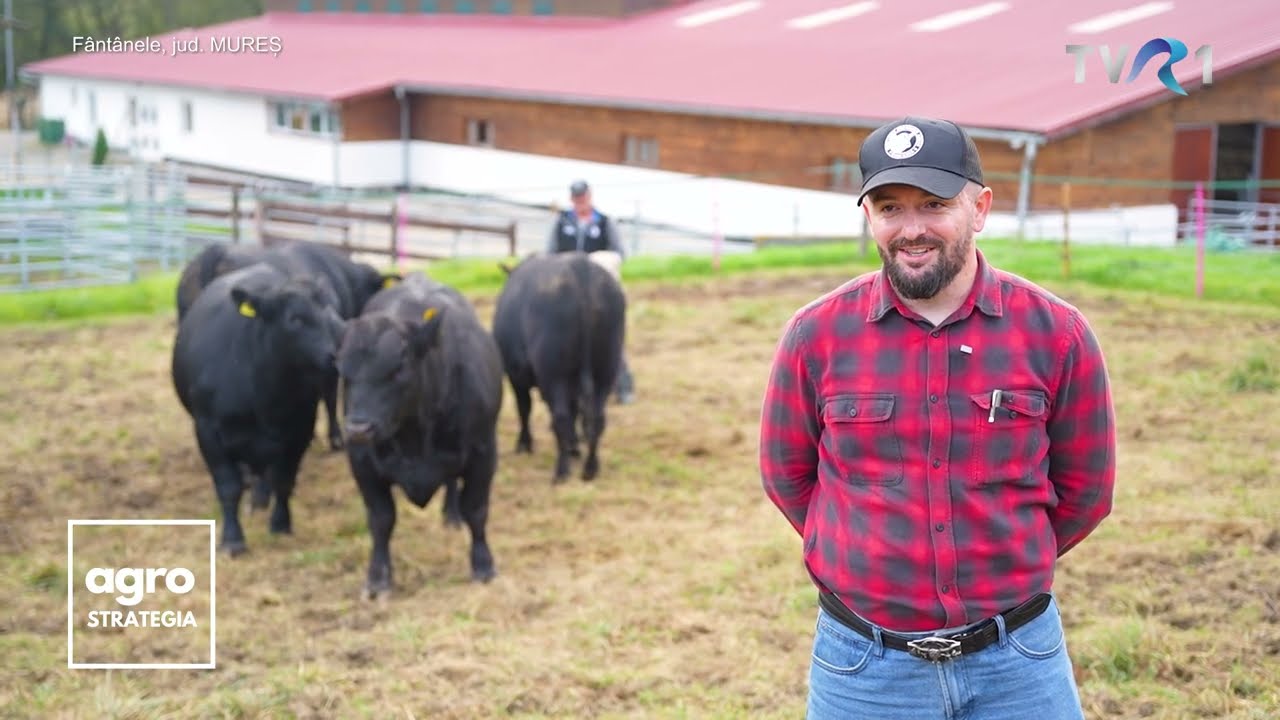 Centrul unde se formează următoarea generație Aberdeen Angus ”made in Romania”