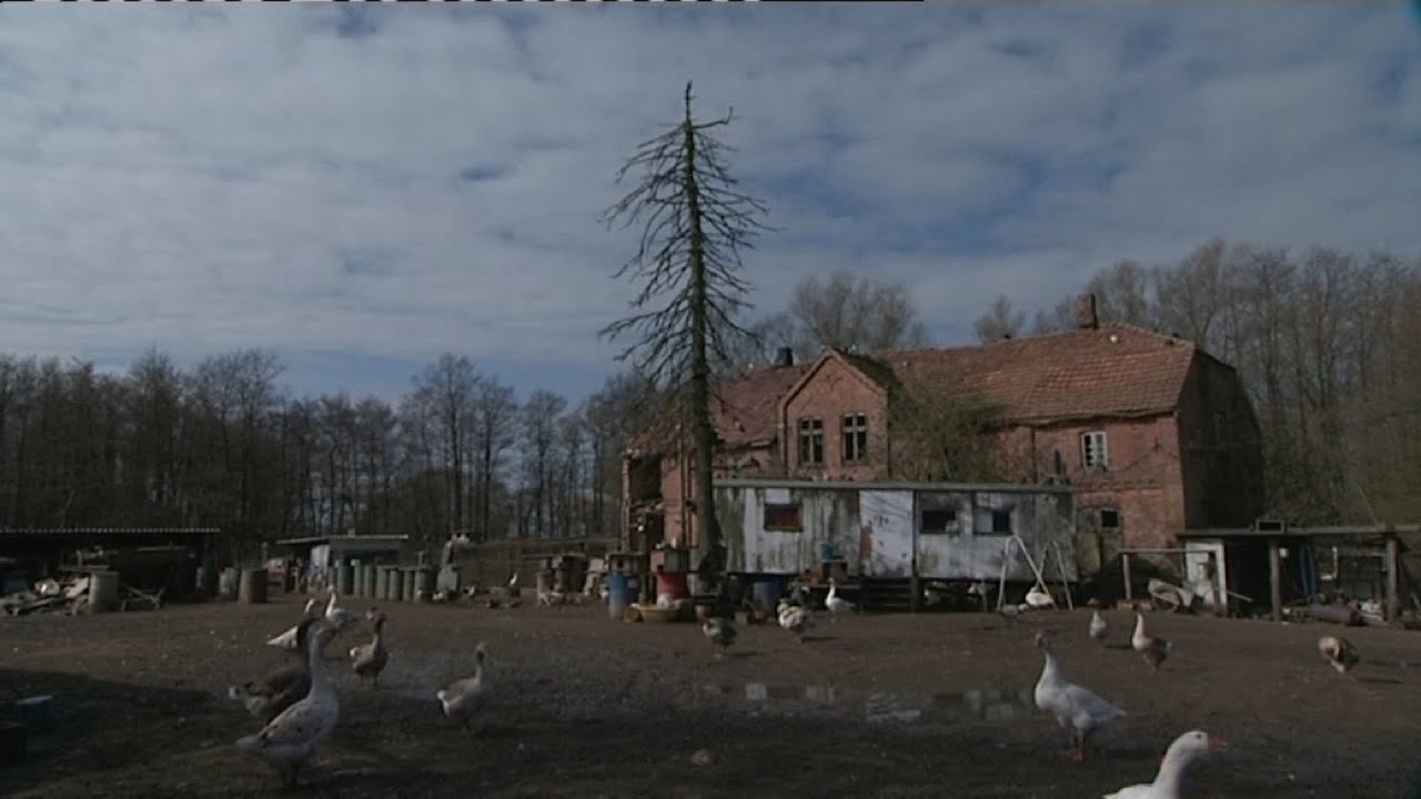 Der verrückte Bauernhof