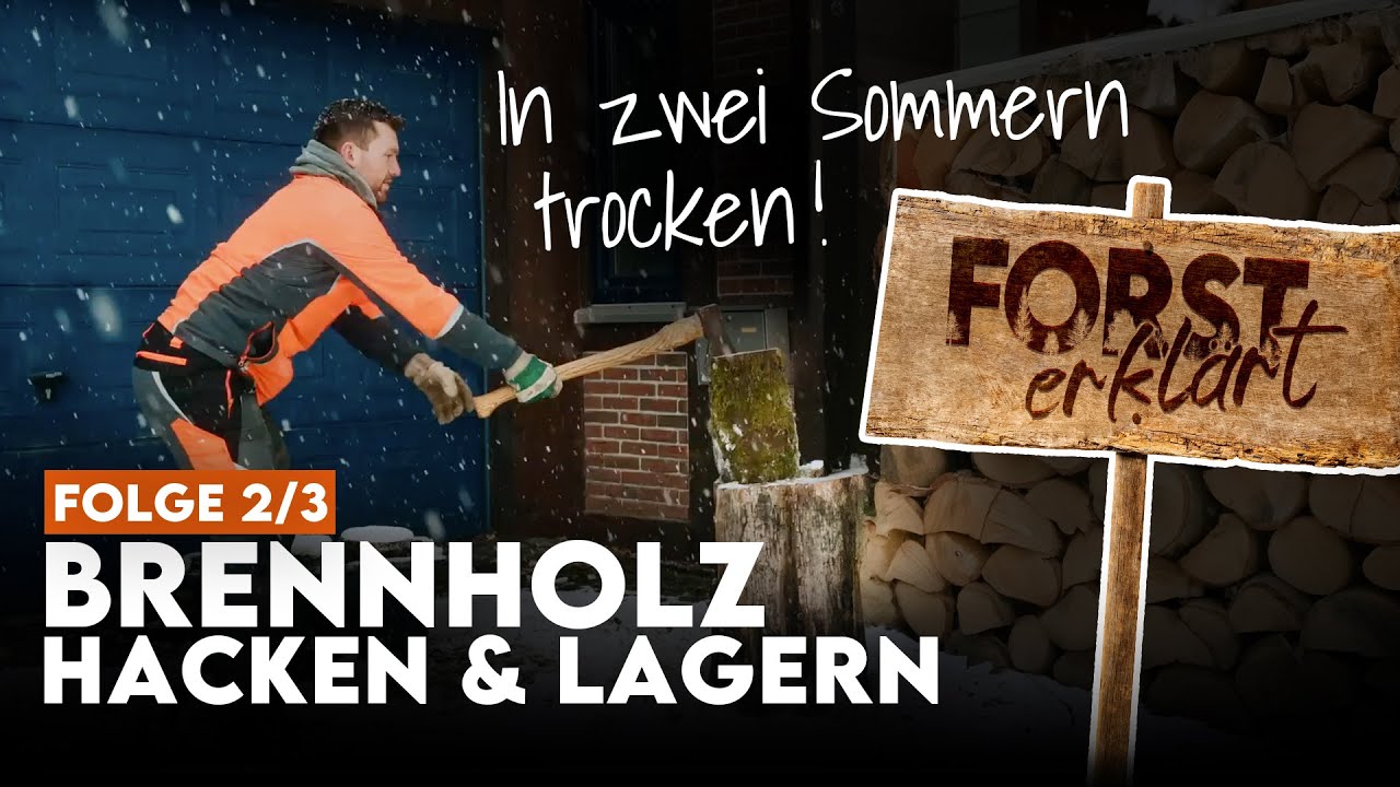 Euer Brennholz vergammelt sonst! Brennholz richtig lagern |  Forst erkl&auml;rt Brennholz-DIY Part 2/3