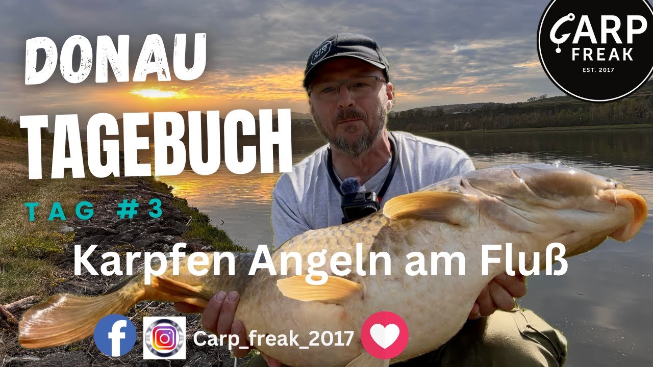 Donau Tagebuch Tag 3 Fluss Karpfen und Riesen Barben