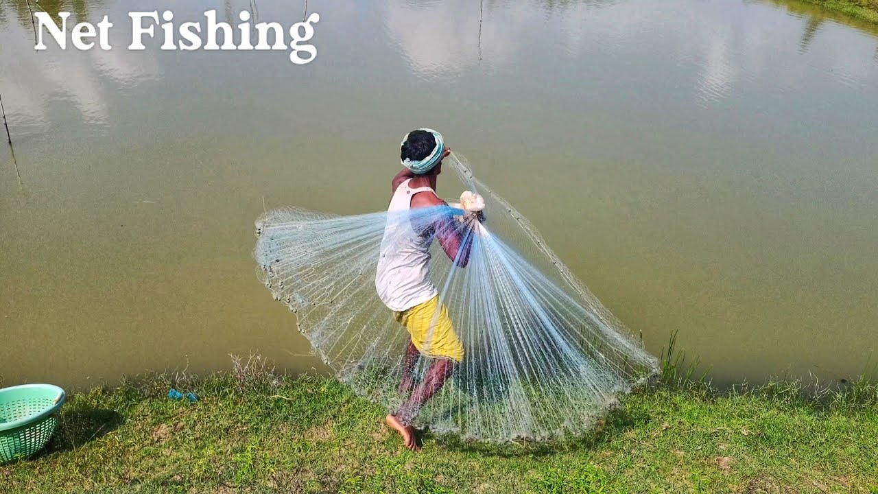 Amazing Net Fishing Skill cast from the bridge