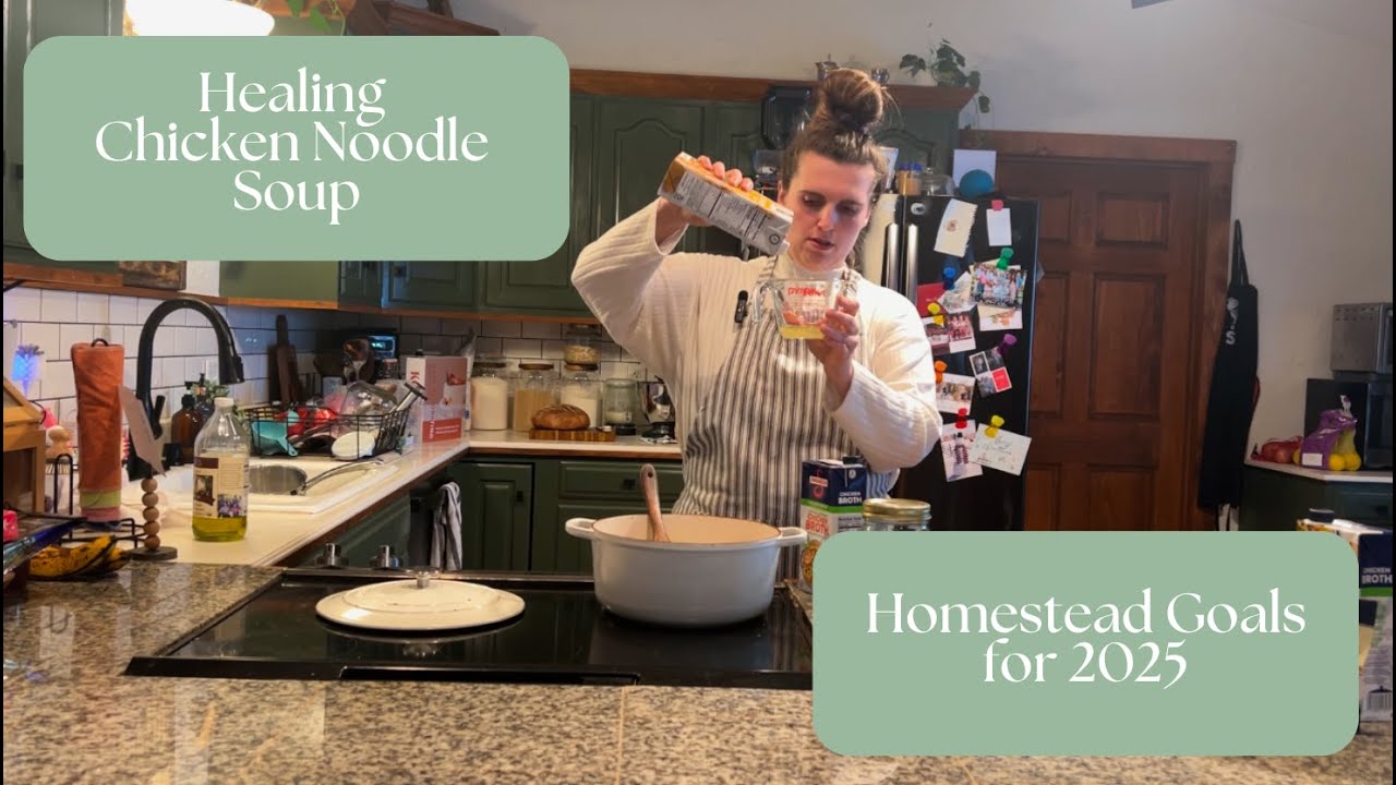 Healing Chicken Noodle Soup | Goals for Homestead 2025 | Cook With Me