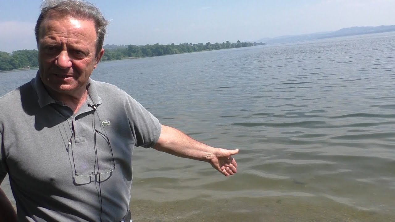 LAGO DI VARESE, INQUINAMENTO FOLLE