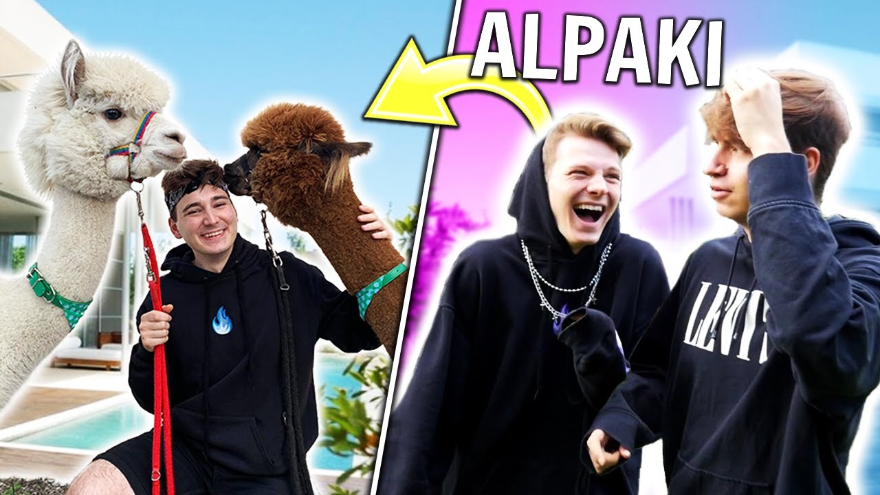 ALPAKI W THE BLAZE HOUSE 😱 *nie spodziewali się*