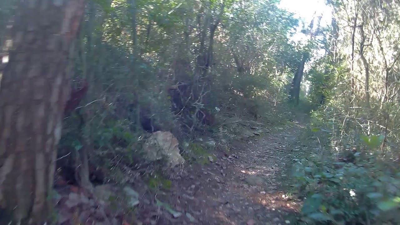 MTB Marjan: Trim staza - vaginaleta