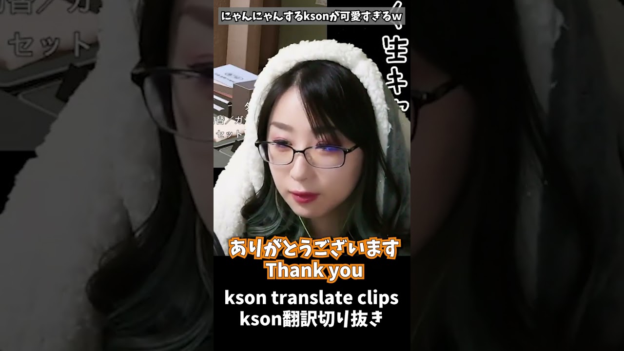 Cute kson cat