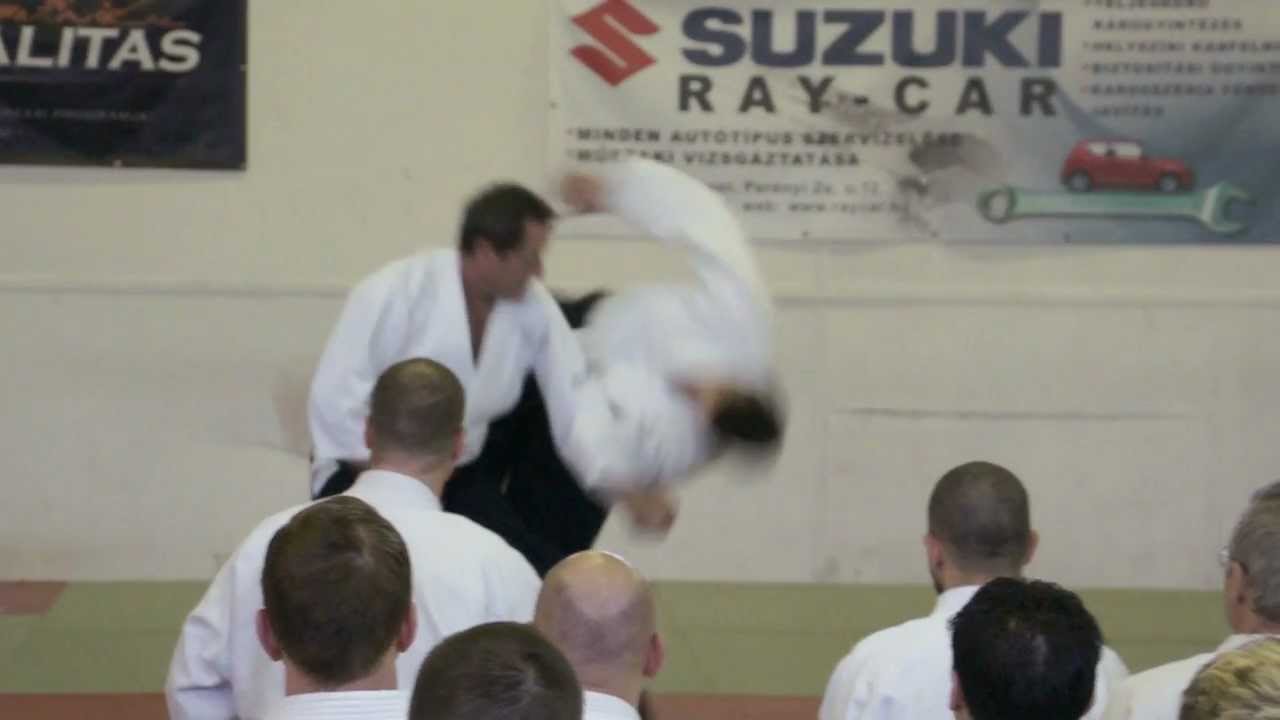 Aikido: Christian TISSIER  Budapest 2013