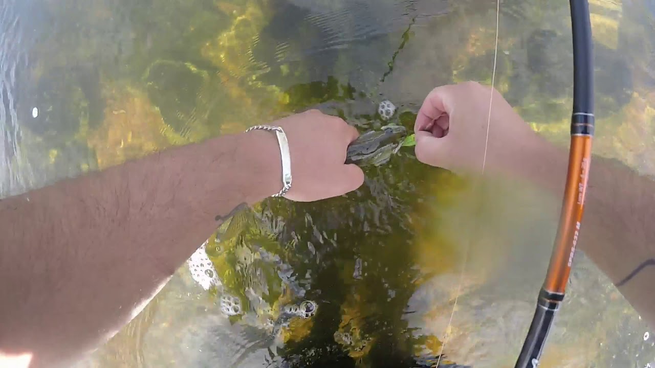 Technique de la pêche du sandre au leurre en Loire | GoPro HD