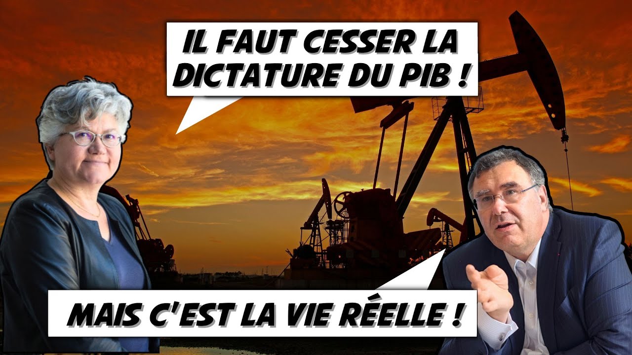 La sociologue qui me r&eacute;gale sur la post-croissance