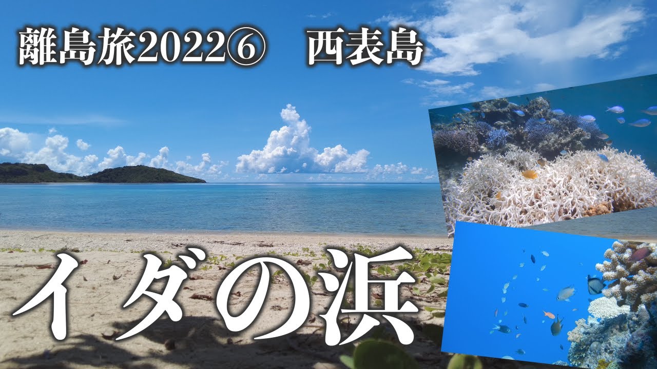 【男ひとり旅日記 | 離島旅2022⑥西表島】イダの浜、カラフルな枝珊瑚と小魚たち