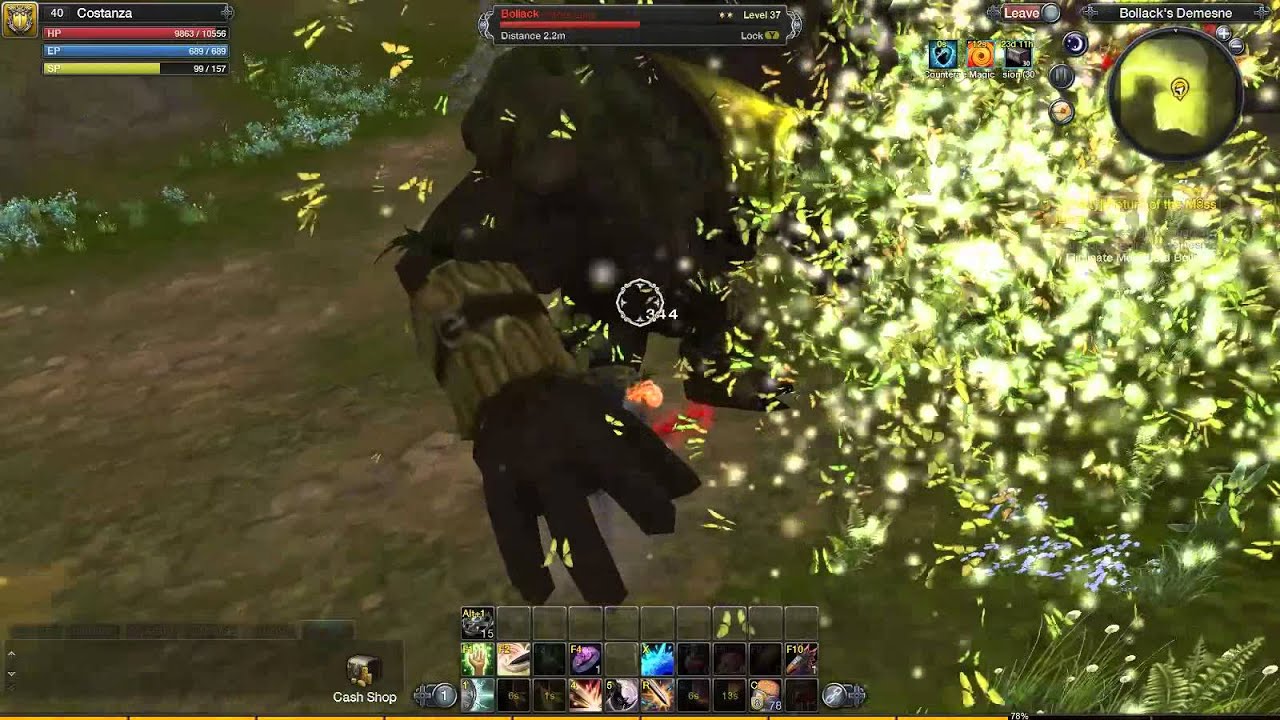 RaiderZ - Bollack solo (Defender)