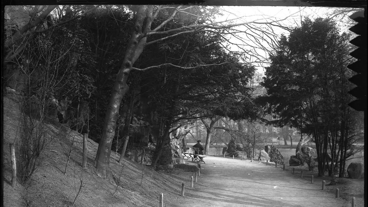 Sent to archive - Antwerpen Stadspark
