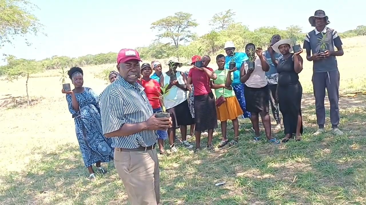 Planting trees on National Tree Planting day