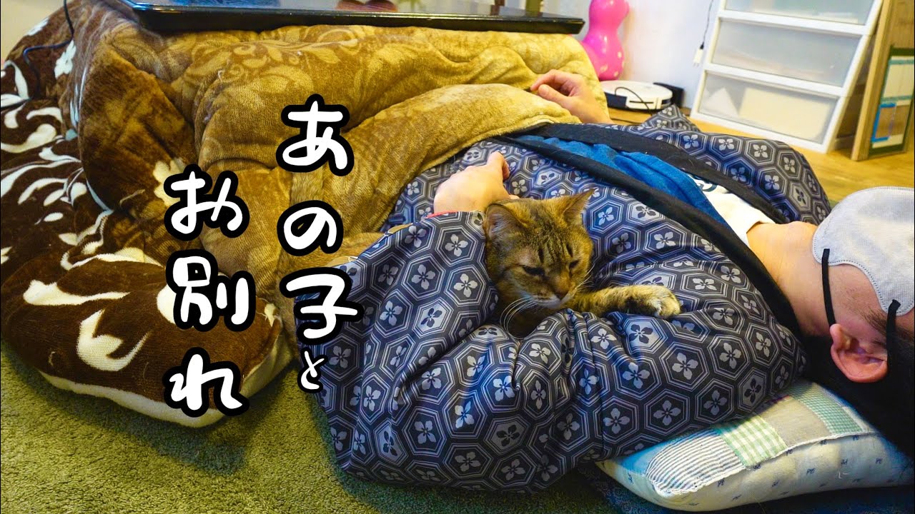 あの子と別れる事になりました