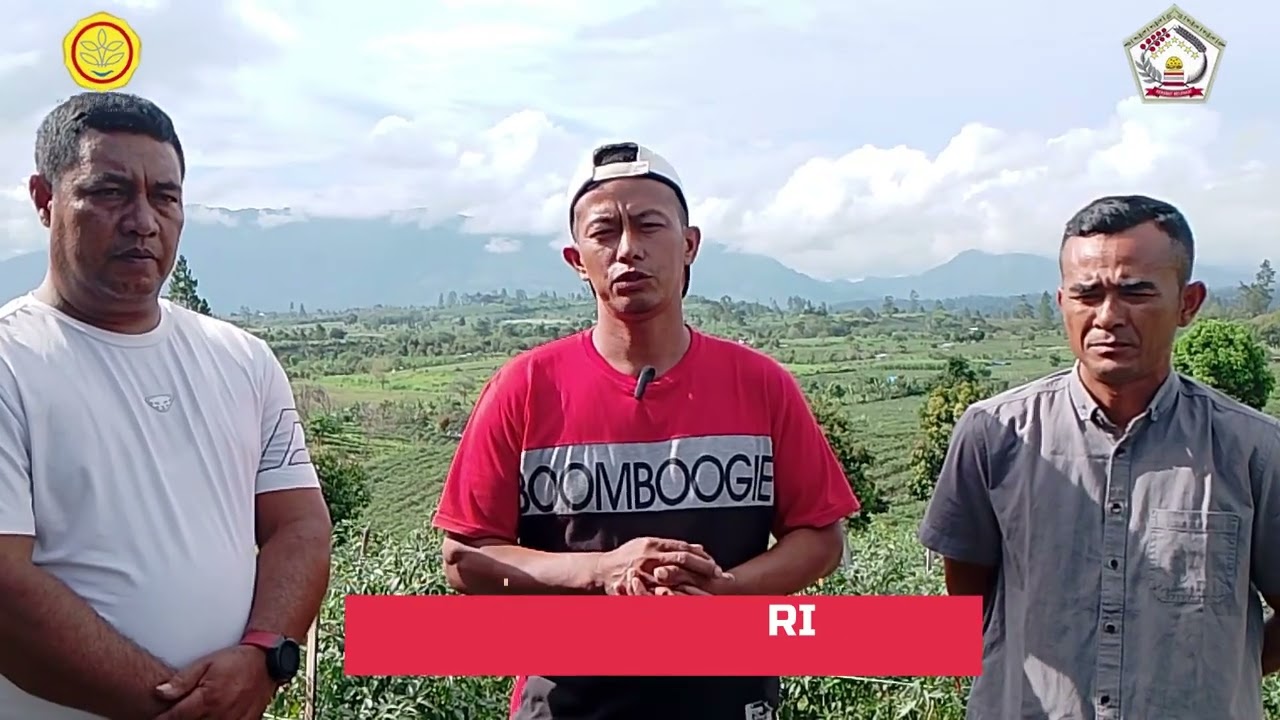 HAMPARAN CABAI DI KABUPATEN ACEH TENGAH