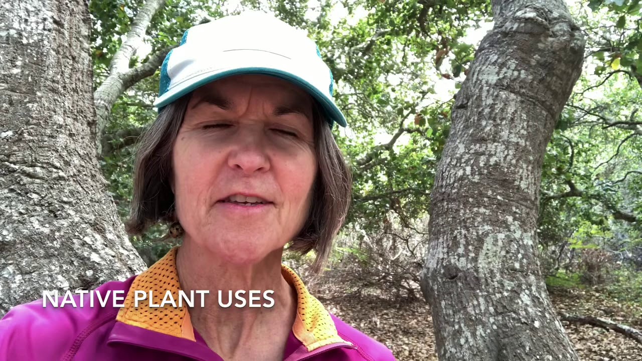 Native Plant Uses