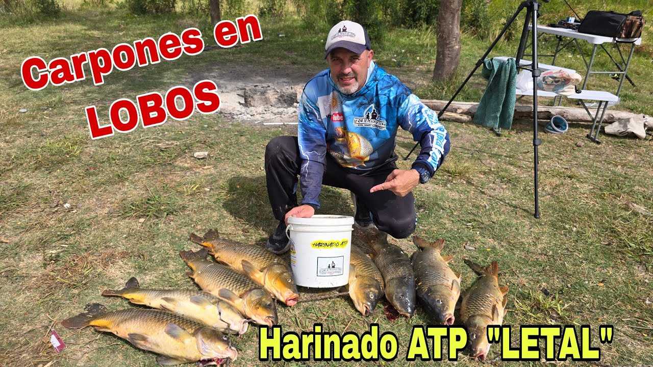 CARPONES en LOBOS , Rancho Colorado , HARINADO ATP  