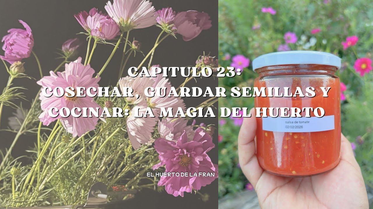 Cosechar, guardar semillas y cocinar: la magia del huerto 
