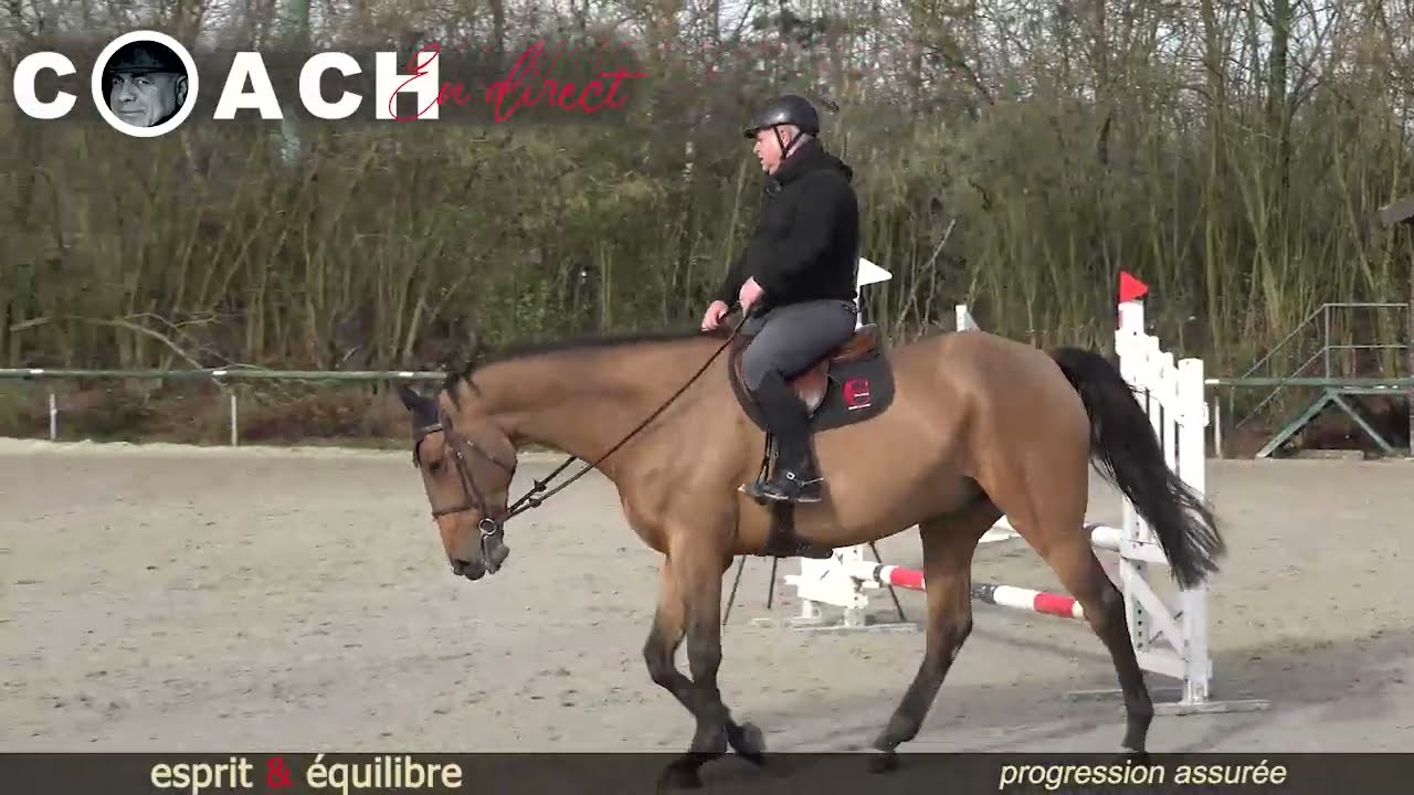 COACH EN DIRECT l'importance d'avoir une m&eacute;thode pour former son cheval en le respectant.