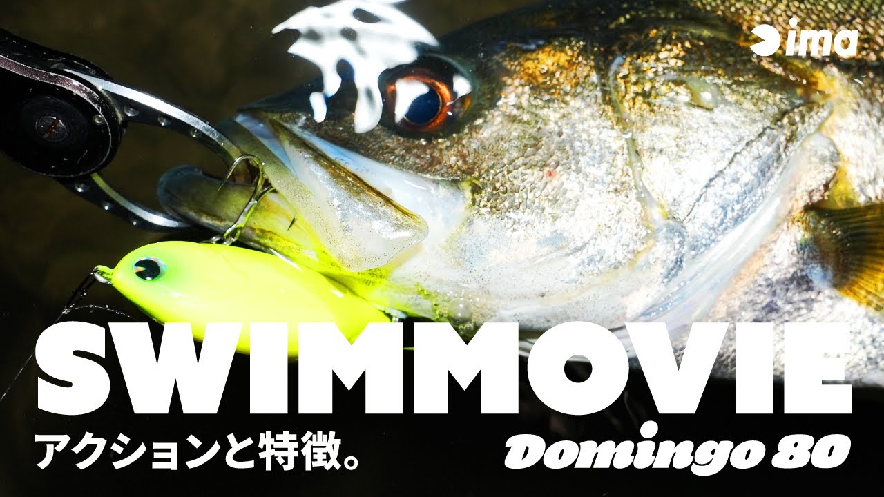 【SWIM】Domingo 80 | アクションと特徴。