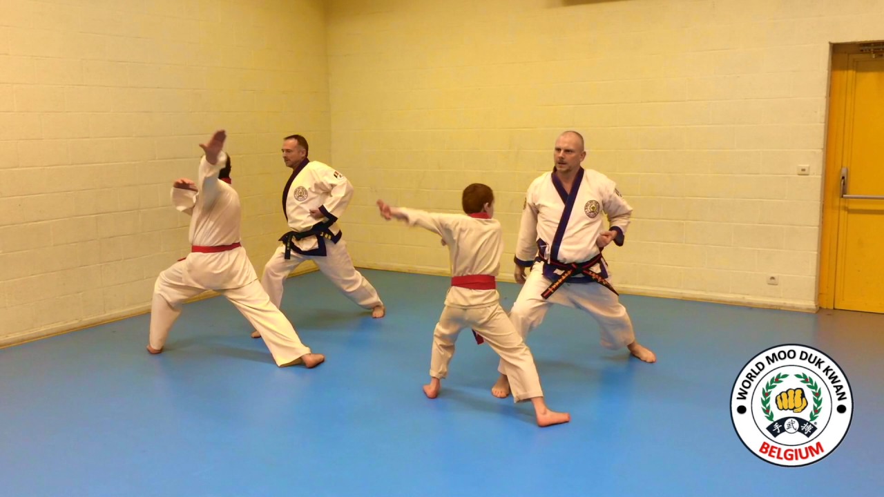 ONE WORLD, ONLY ONE MOO DUK KWAN FINAL