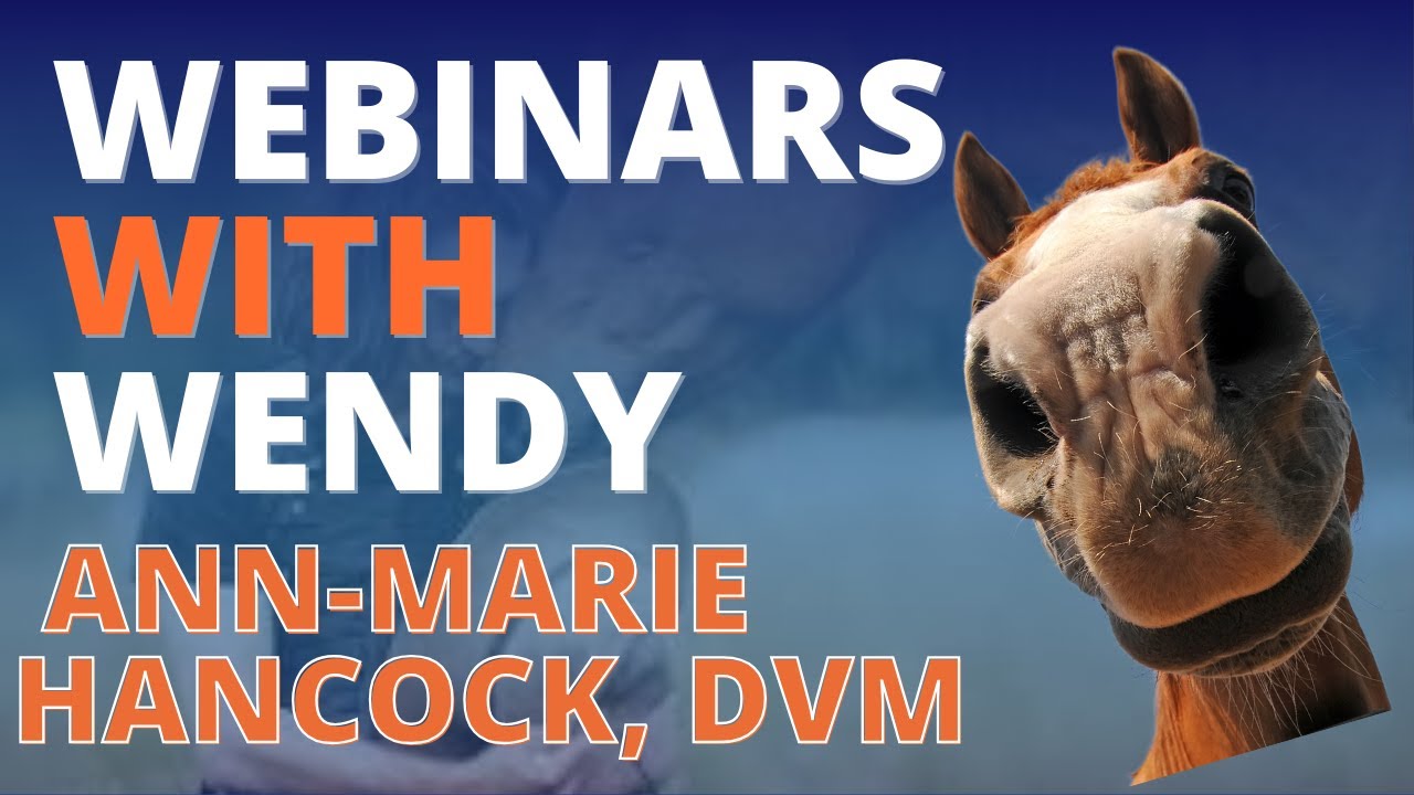 No. 353 -  Ann Marie Hancock, DVM, EDO   Building up your horse to move fluidly and stay sound