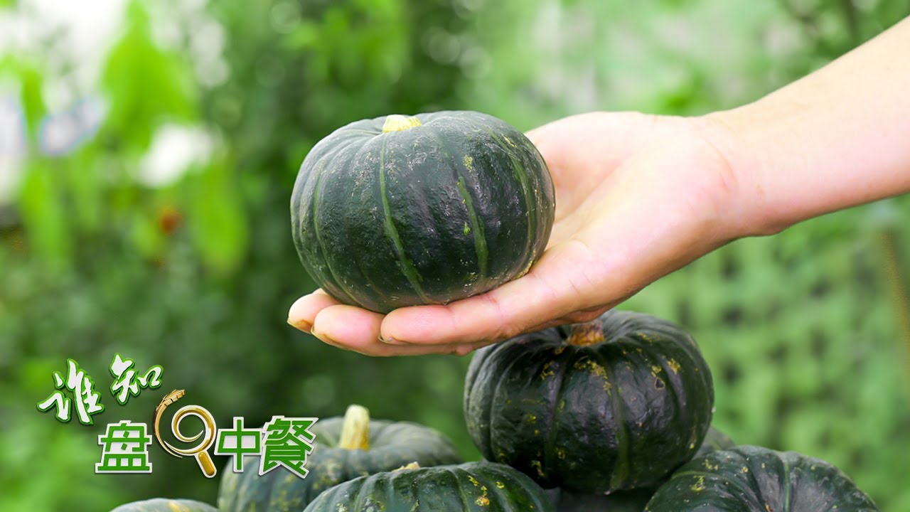 小南瓜自带板栗味儿！探秘贝贝南瓜的种植技巧，保证每一个都特别甜糯！|「谁知盘中餐」20220328