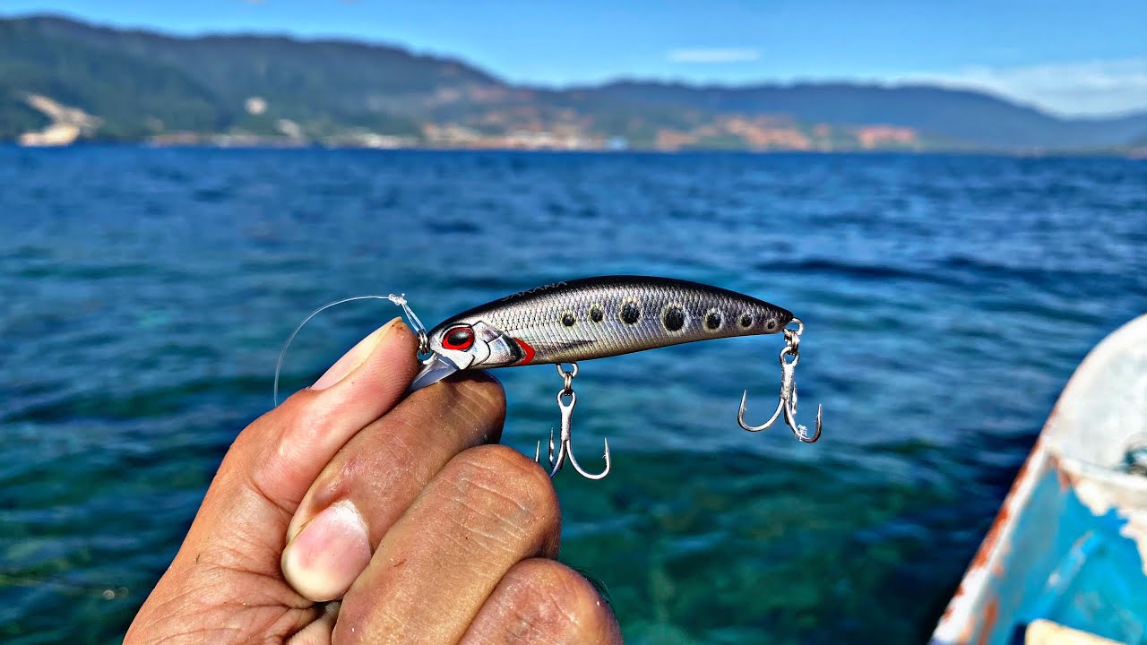 Umpan Minnow Gacor untuk Mancing Casting di Karang Dangkal