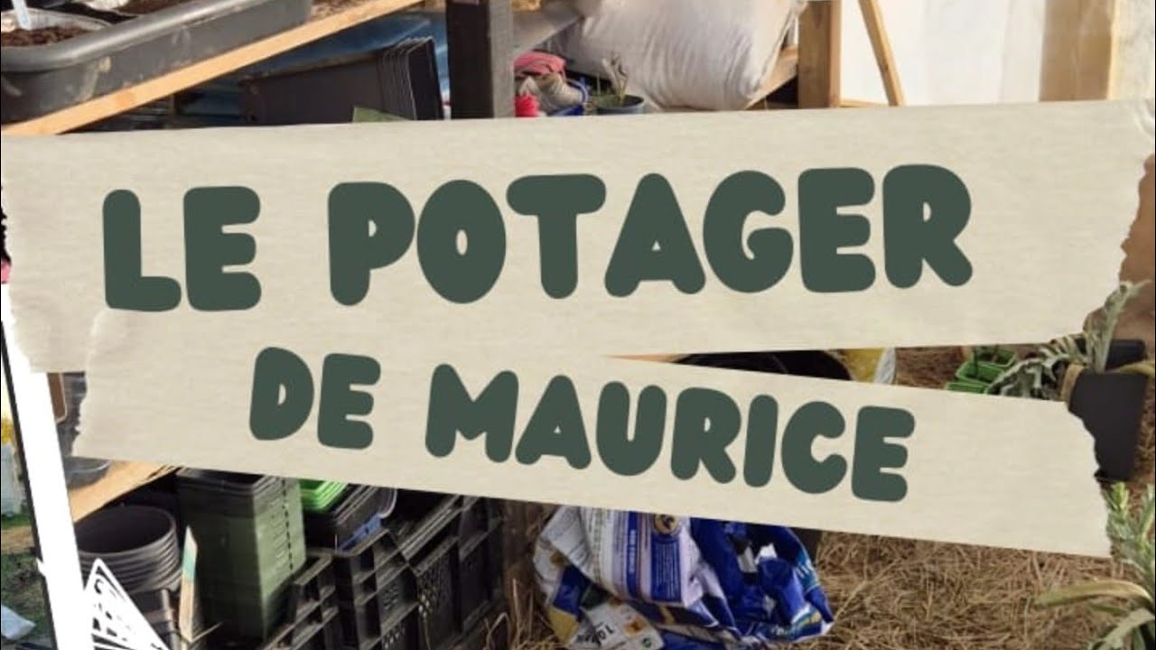 Aménagement de la serre et du potager 2026 