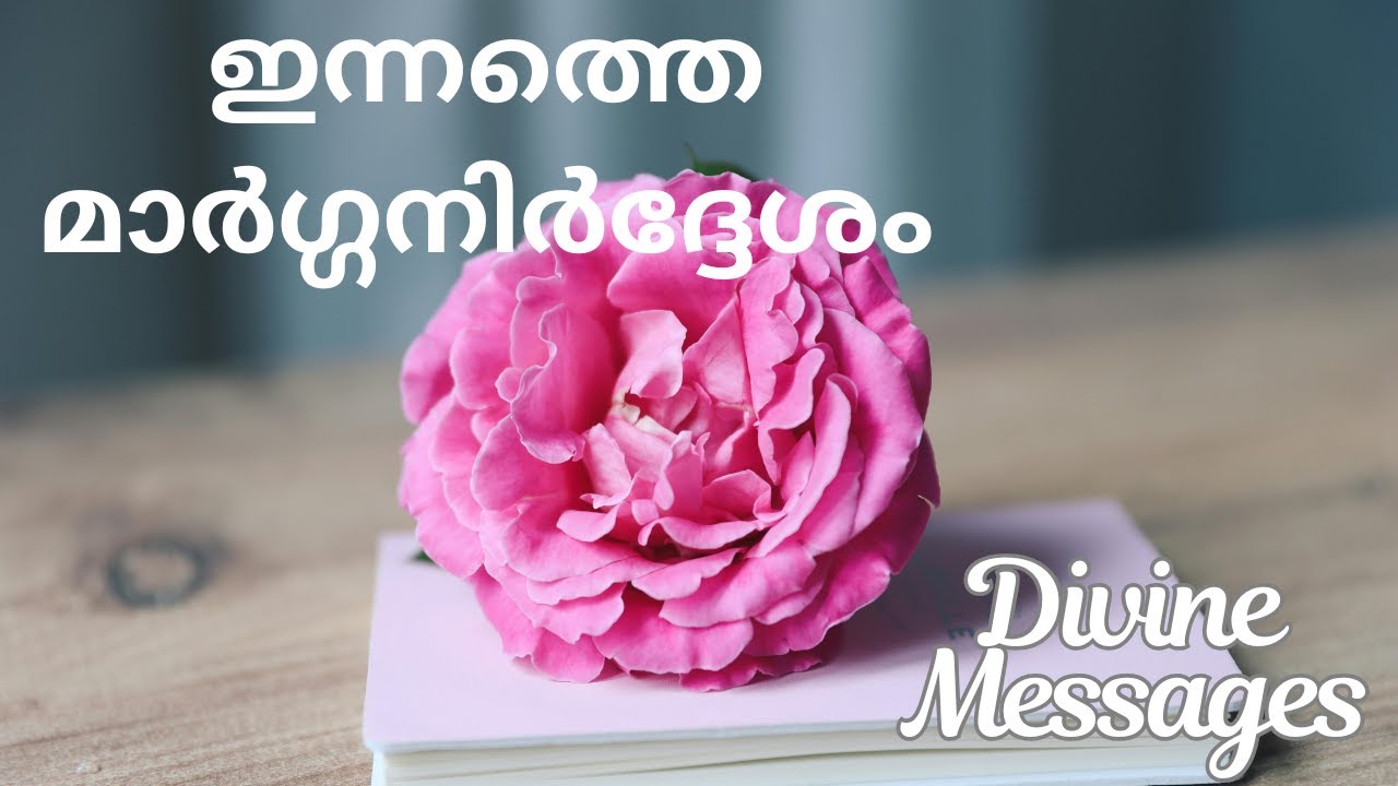 🌼വ്യാഴാഴ്ച Nov 20 💖🧿Divine messages🎋#malayalam #collective  #thursday