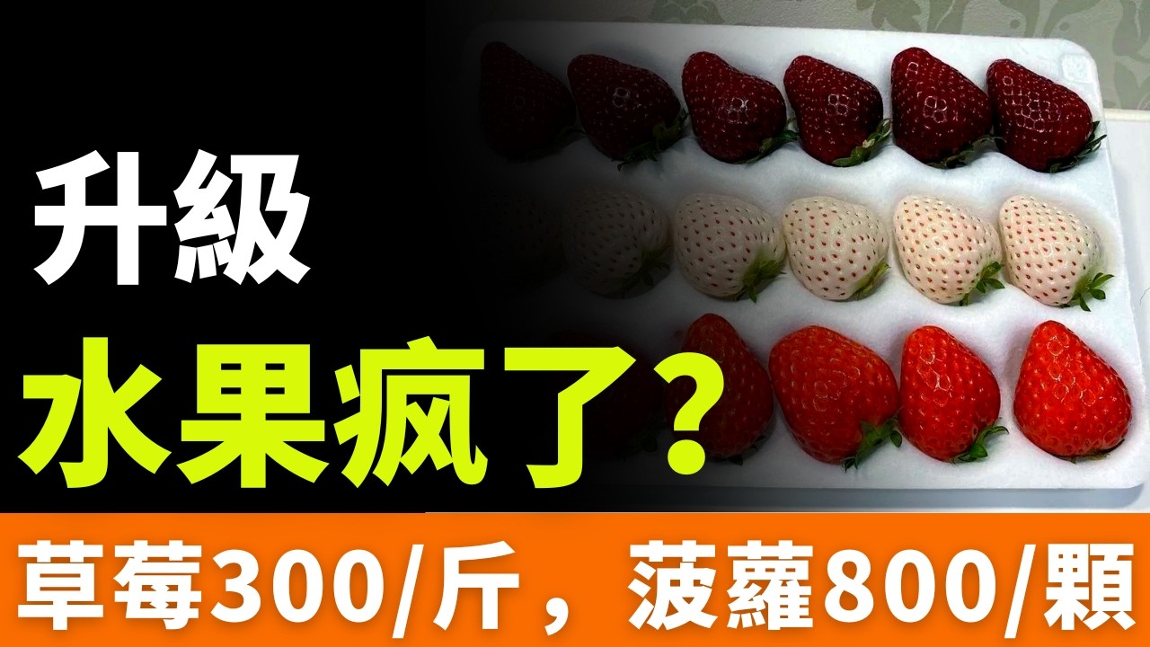 殺豬盤！天價水果：草莓300一斤，菠蘿800一顆！染色、貼牌、轉基因…誰買誰是大冤種！到底在吃水果，還是在交智商稅？
