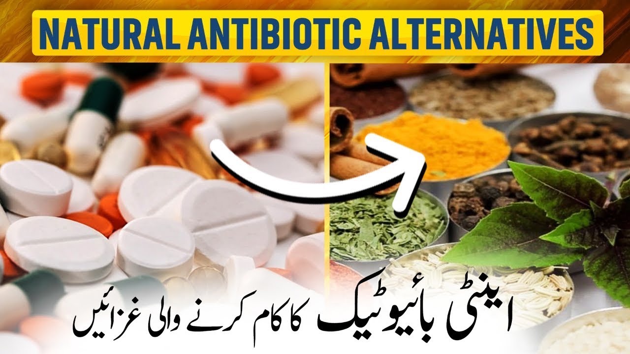 6 Best Natural Antibiotics | Most Powerful Natural Antibiotics | Ilmogram