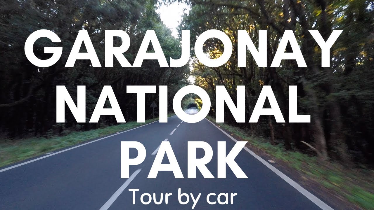GARAJONAY NATIONAL PARK | Tour by car