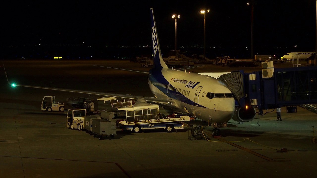 2016/11/20 All Nippon Airways 339 Announcement: Tokyo Narita - Nagoya Chubu