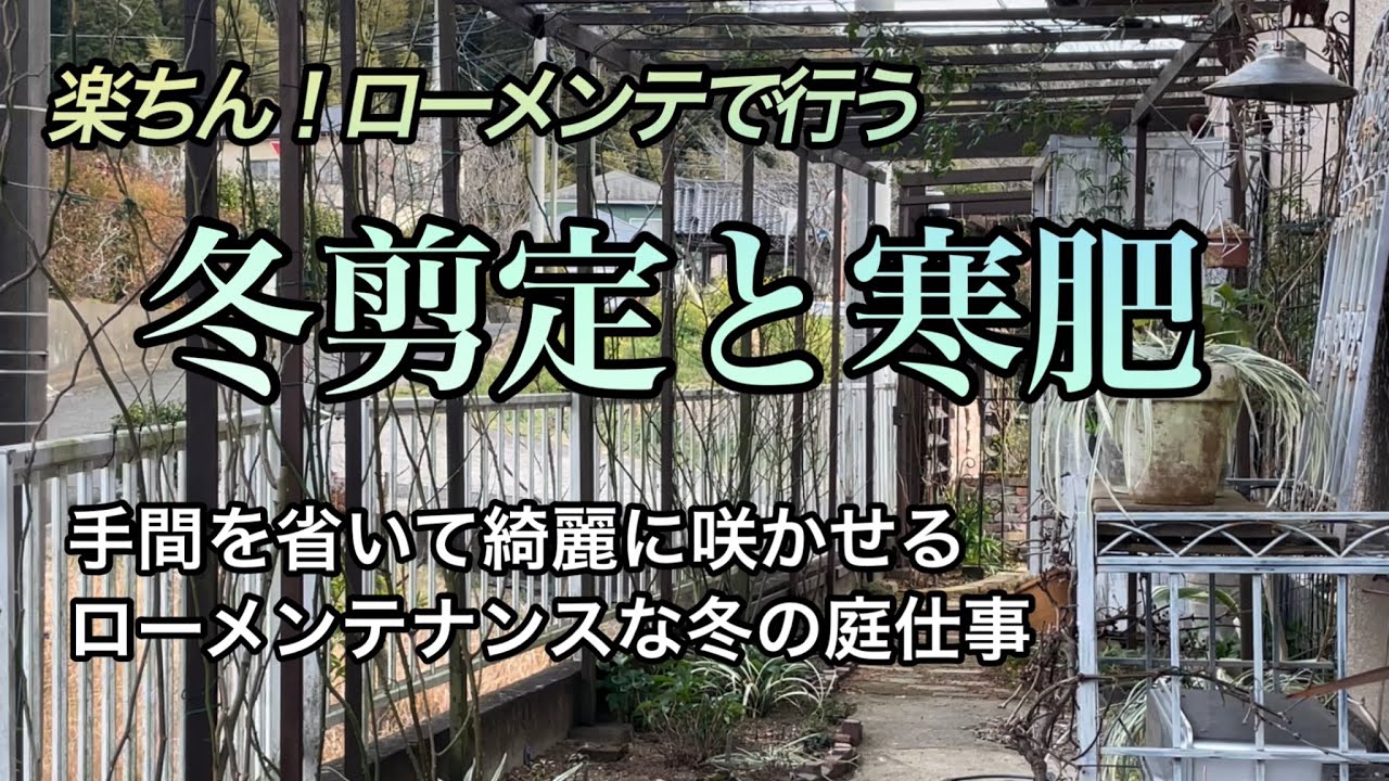 【冬作業もローメンテで・2024'バラの剪定と寒肥】