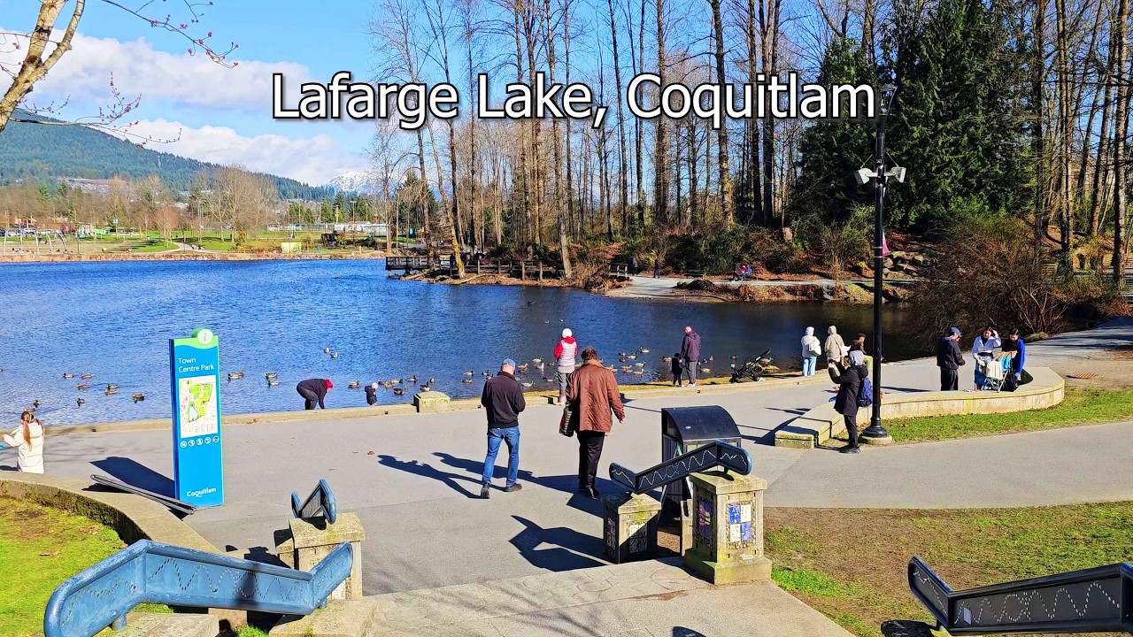 Relaxing Walk Around Lafarge Lake Coquitlam BC | Town Centre Park Walking Tour