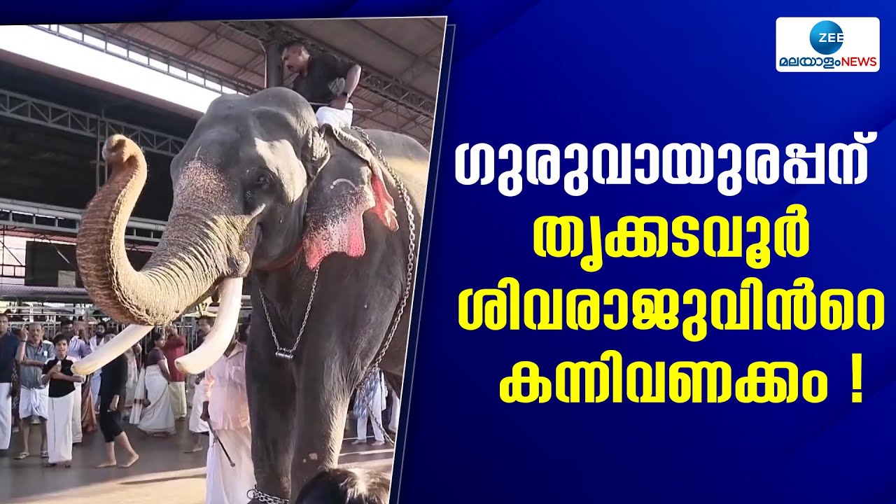 Thrikkadavoor Sivaraju | ഗുരുവായൂർ കേശവനും പദ്മനാഭനും അഭിവാദ്യമർപ്പിച്ച് കൊമ്പൻ തൃക്കടവൂർ ശിവരാജു.