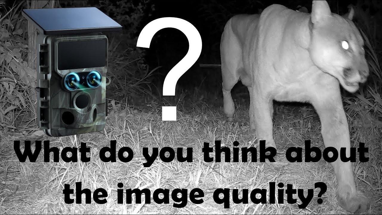 Is the TC22 (2023) Better Than the HP5 Ultra (2026) for Image Quality?