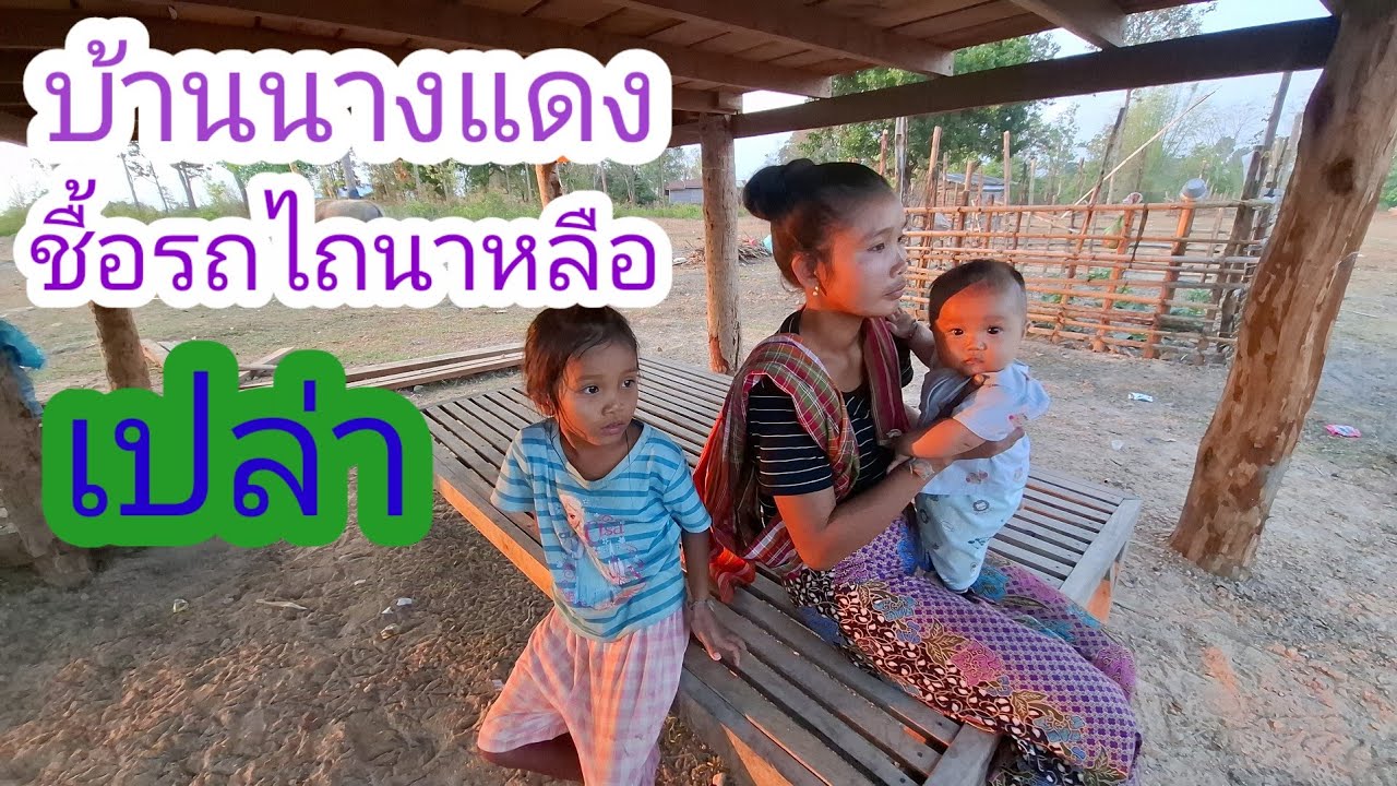 บ่าวแตงบอกเผาถานก่อขายไม้ได้ แย่จริงๆ✌️🇱🇦❤️🇹🇭#แม่น้องรุ่งบ้านนา#