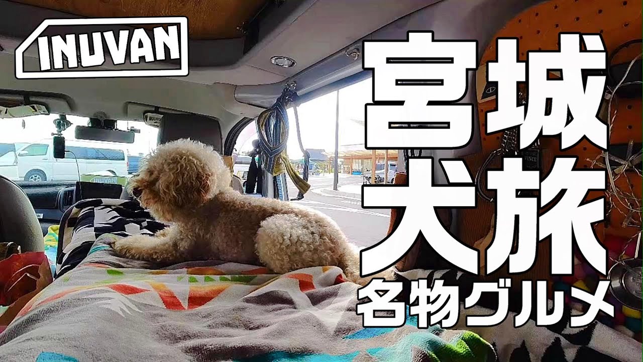 【宮城犬旅】宮城名物グルメ 定義とうふ店の三角定義あぶらあげと陣中の牛タン弁当を食べ過ぎました｜東北旅行｜キャンピングカー車中泊旅｜INUVAN イヌとバンライフ