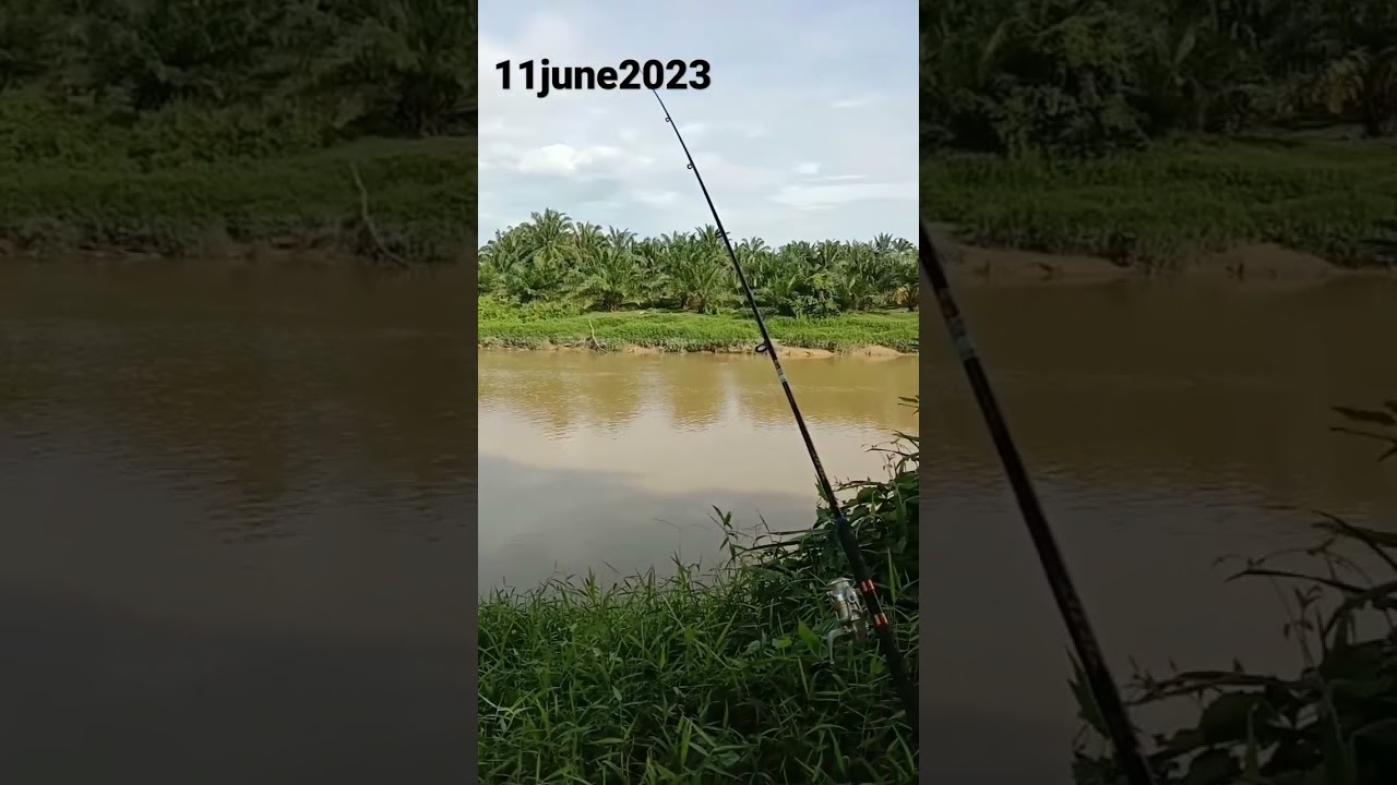 11 June 2023