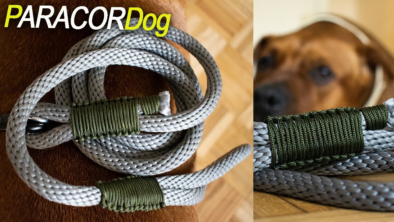 DIY Cuerda para perro con paracord, nudos únicos #dog #paracord #knots