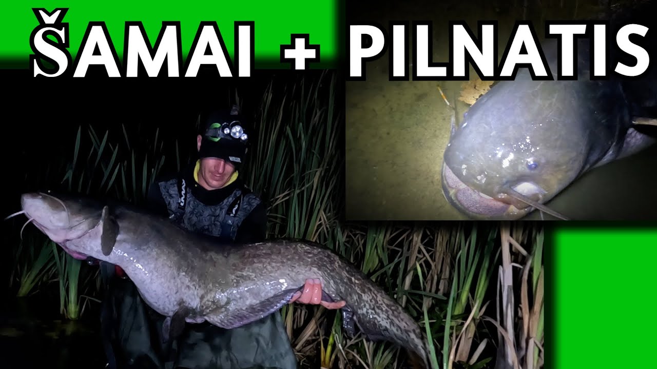 Šamai ir Pilnatis