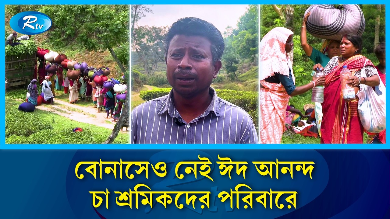 চা শ্রমিকদের ঈদ আনন্দ চাপা পড়েছে সামান্য বোনাসের নিচে | Tea Worker | Rtv News