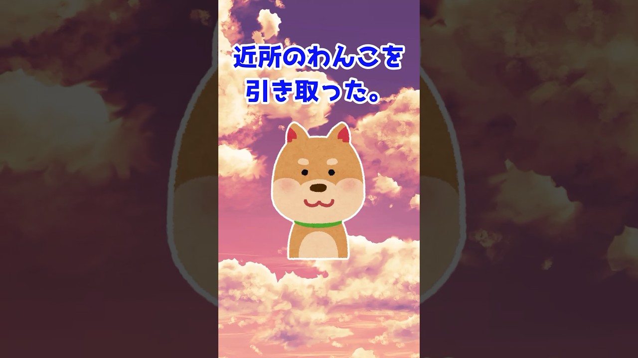 【2ch 動物スレ】飼い主を待っていたわんこ