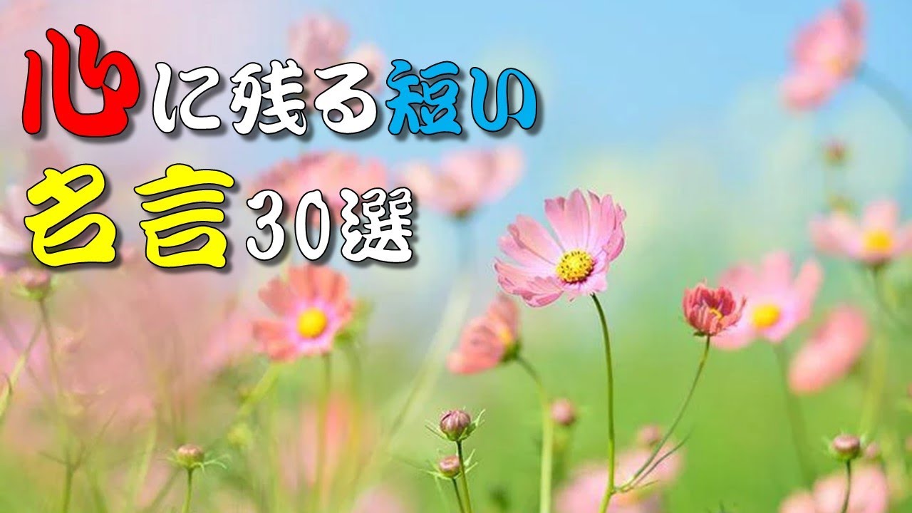 【名言】心に残る短い名言30選💕💛💙